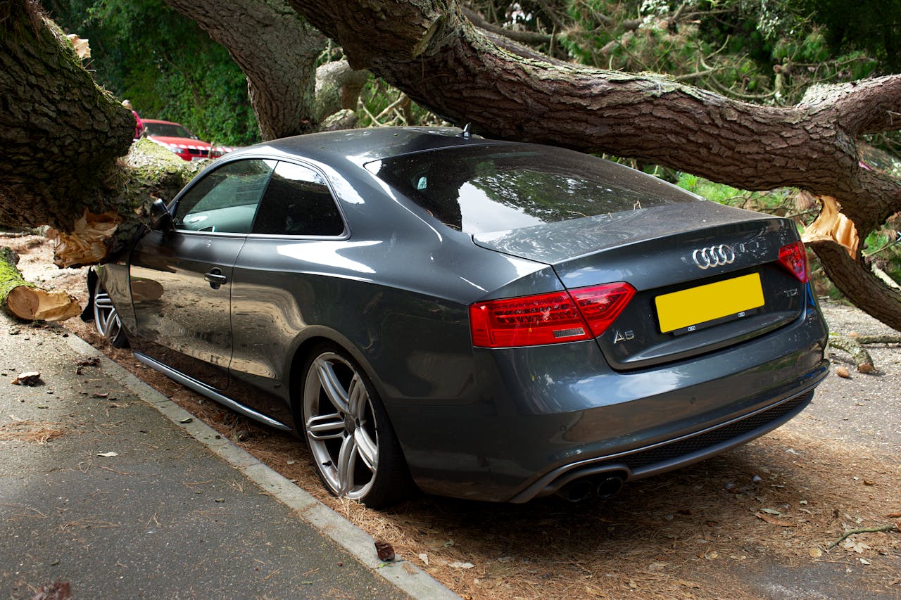 A broken Audi car crushed by a fallen tree in a UK street accident.
